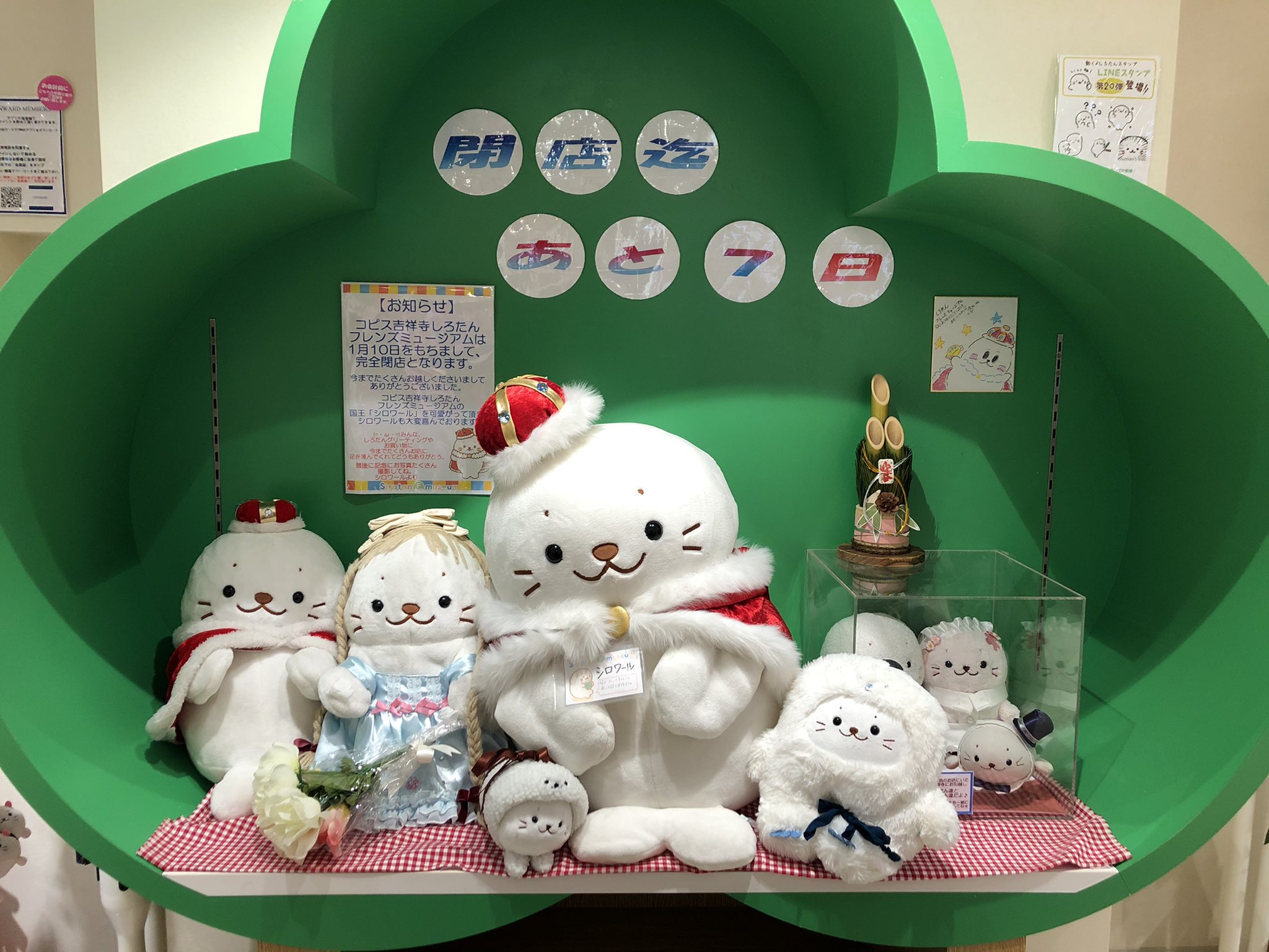 しろたん ぬいぐるみセット シロワール しろたん25周年 | ファッション