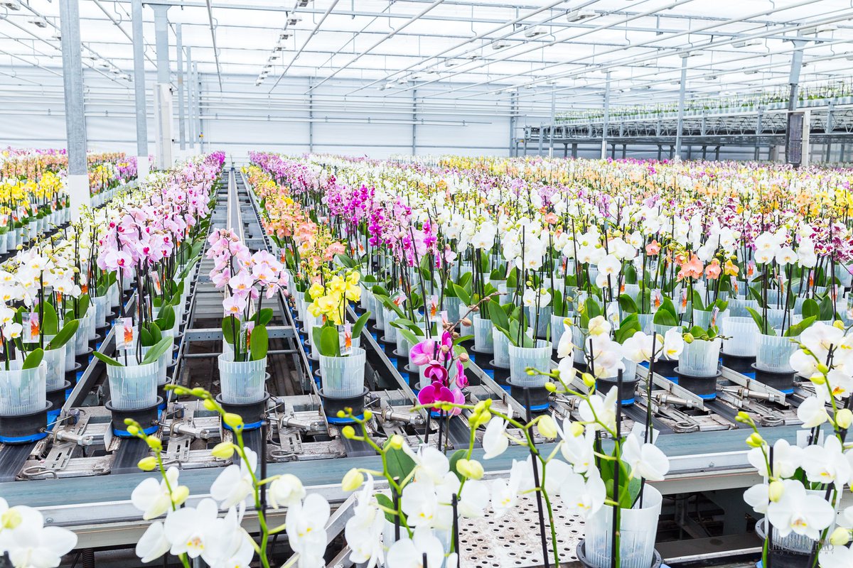 These guys are ready for the new year, so are you? 😃