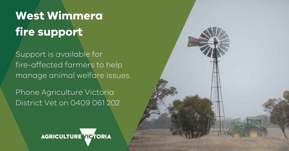 Agriculture Victoria is available to support fire-affected farmers in the West Wimmera with animal welfare issues.

If you have any animal welfare concerns or livestock that need to be assessed, please call Ag Vic District Veterinary Officer on 0409 061 202.