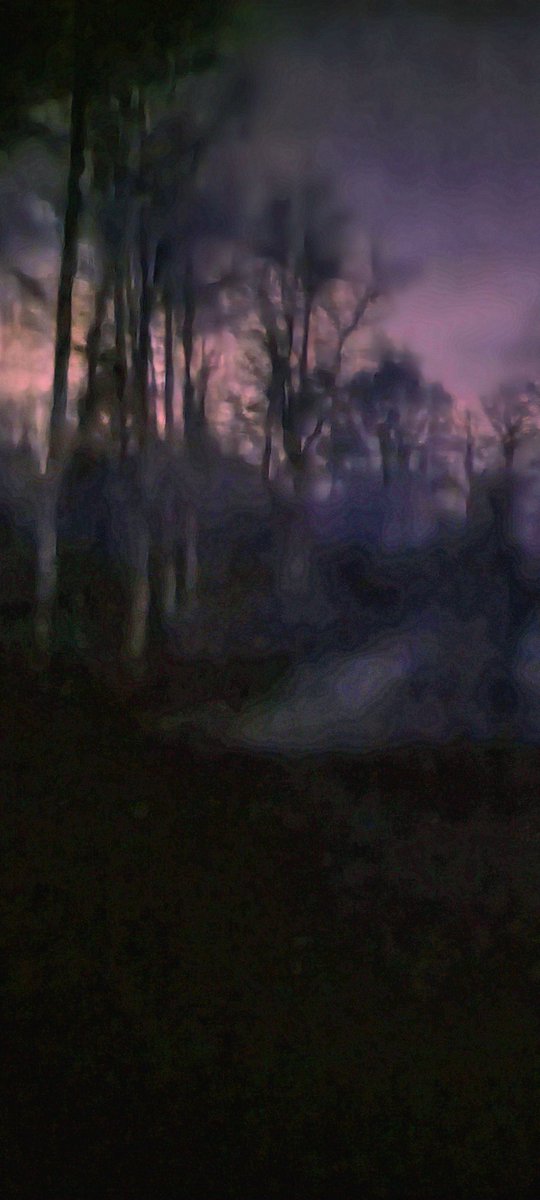 HawkParanormal's tweet image. So this is crazy but upon out looking for my car that was stolen we found a new area to go big foot hunting at.