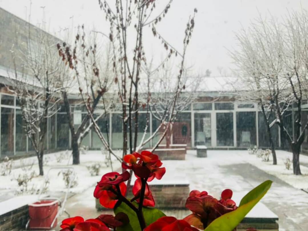 acku2007's tweet photo. Snowflakes of the season!❄️⛄
#ACKU #Winter #Snow #Nature #Photography️ https://t.co/vx4YDj83NC
