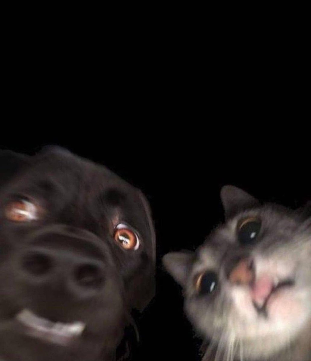 JElNNE's tweet photo. You know it's your bestfriend when you start recreating dumb yet cute picture with them. https://t.co/u4u6CjbxIn
