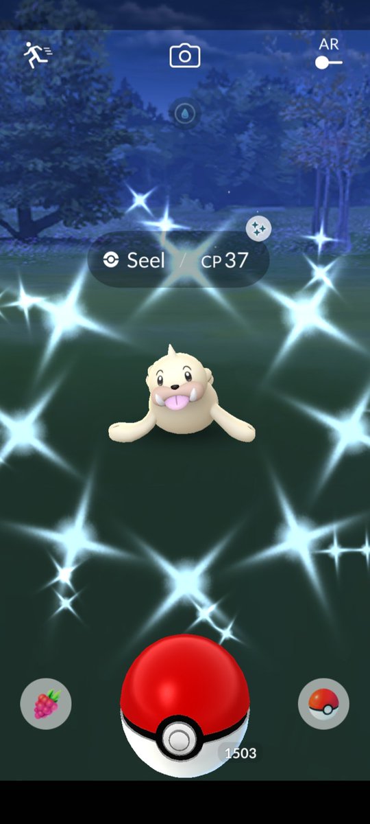 mossom106's tweet photo. Been up since 3:30am and already managed to grab 2 #shinies #egghatcher #shinyseel #shinyazurill @IncensedPodcast #shiniesoftheweek https://t.co/nDG7so9TrU