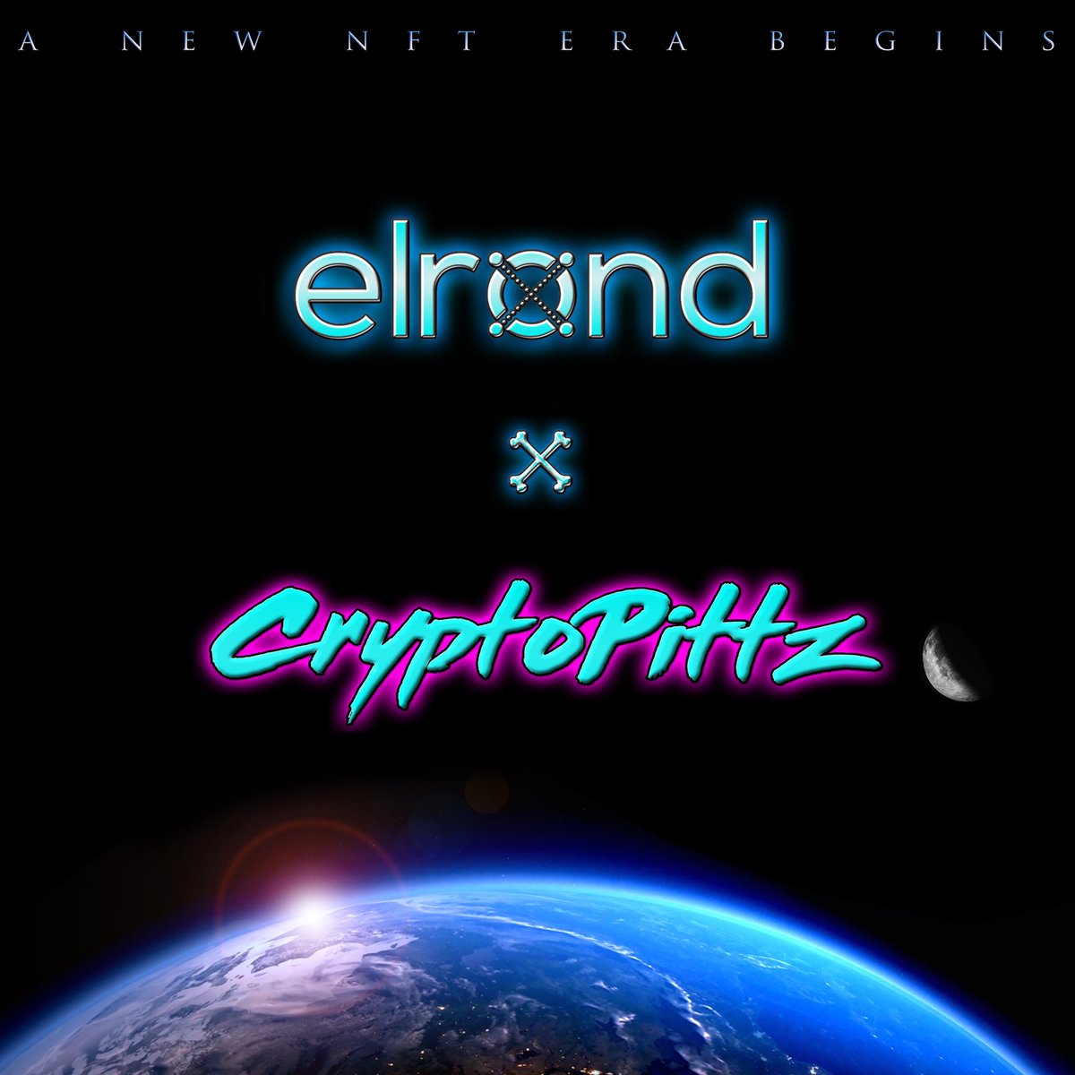 CryptoPittz tweet media
