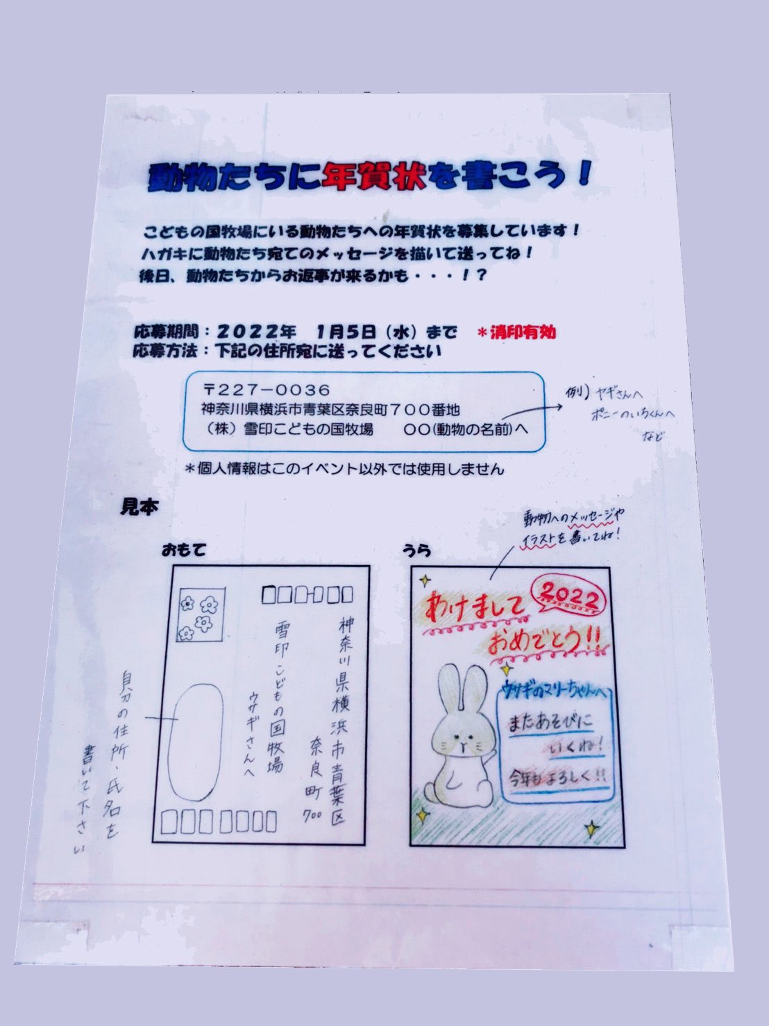 雪印こどもの国牧場 公式 Snow K Bokujyo Twitter