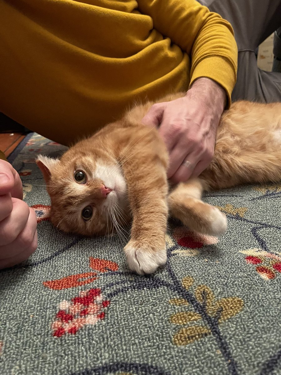 Dania, like Mania tweet media