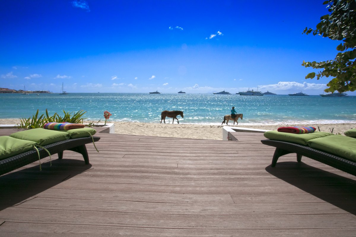 SXMSIR's tweet photo. It's not every day you get to see a horse walking down the beach...but your chances are higher when you're here at Villa Vittoria in Simpson Bay, St. Maarten #sxm #stmaarten #simpsonbay https://t.co/lfpRQDfyxy