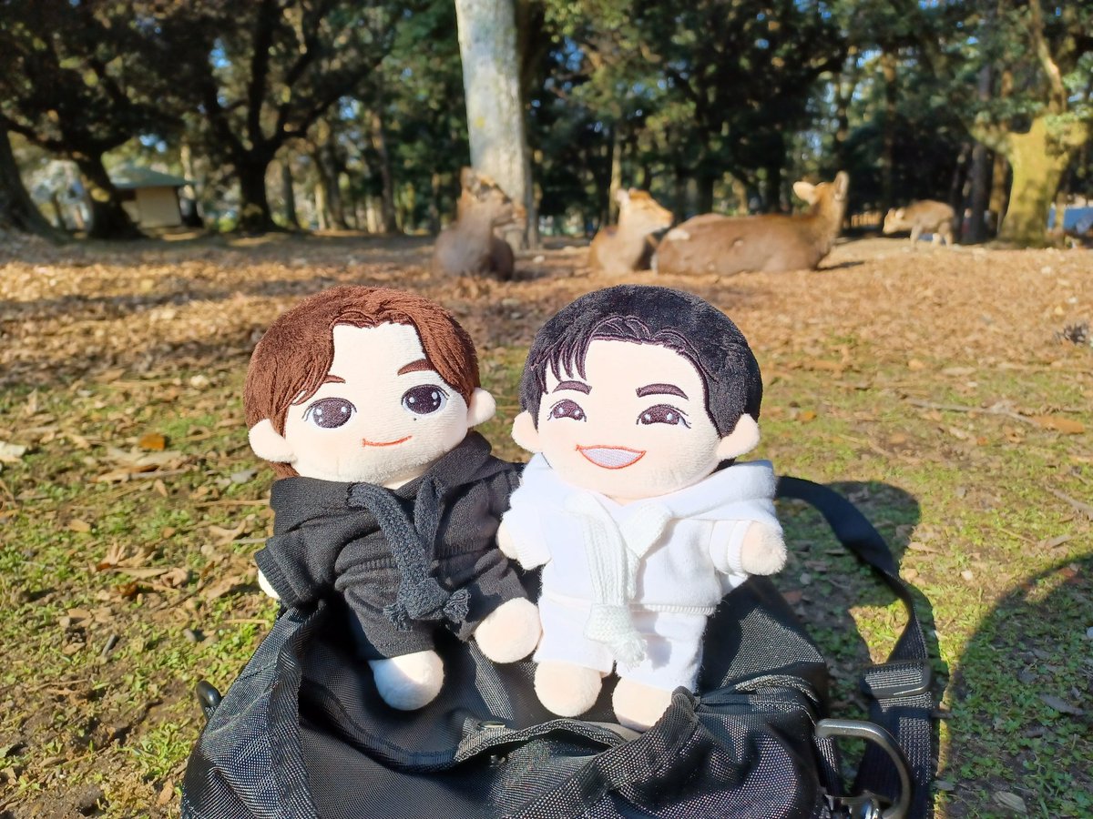 paundaroll's tweet photo. Deers, deers and dears 🧡🤍

#kiddosdayout
#ปอนด์ภูวินทร์ 
#ppnaravit #phuwintang
#nara🦌 #奈良 https://t.co/NJVmj88lGf