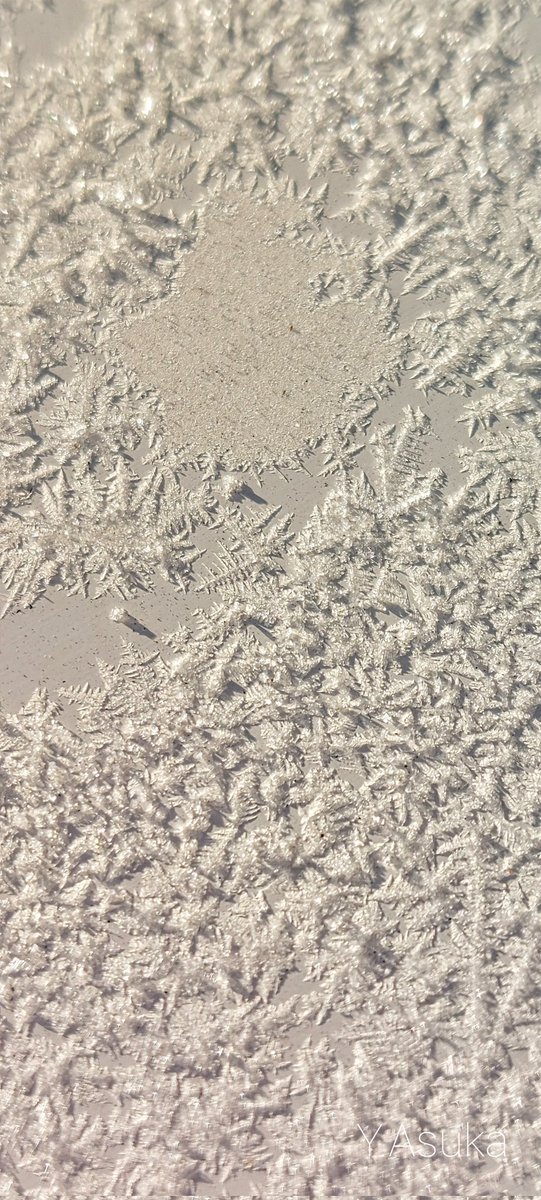yumeasutw's tweet photo. お日様燦々✨日本晴れの月曜日の朝☀️
ベランダの手摺が #霜 でキラキラ❄️
予想最高/最低気温🌡️9℃/-6℃
晴れ☀️
穏やかな冬晴れのお出掛け日和となりそうです。
#空の名前
#雲の教室
#天気の図鑑 #雲友
#青空 #Sunshine
#日光連山
#霜活
#霜結晶
#a2022 #a0103 #a202201 #a2022012 https://t.co/gXRCpjAylO