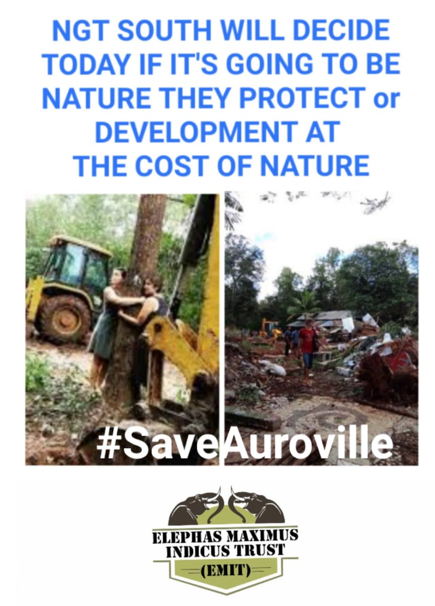 DPKNAMBIAR's tweet photo. #SaveAuroville #auroville #NGT South #India will decide today if they want destruction of #nature or support #CrownProject Hope they decide for nature & safeguard #Trees #forest that #aurovillians painstakingly converted to lush greenery from a barren land in #TamilNadu
#EMIT https://t.co/yuPXZe3edn