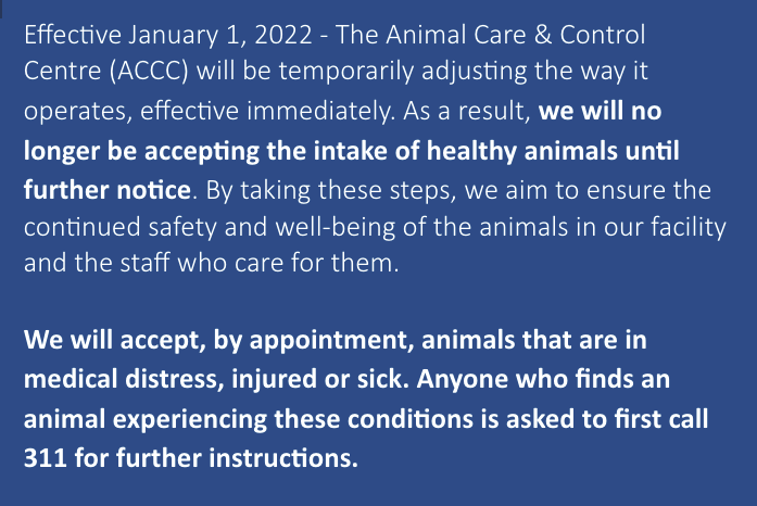 dustin_cook3's tweet photo. Some late Sunday NEW news #yeg: The @CityofEdmonton has suddenly stopped accepting lost or stray animals considered healthy at the Animal Care and Control Centre until further notice. Here's the story: https://t.co/lPOi8Fjslu https://t.co/XbBiPK7eaY