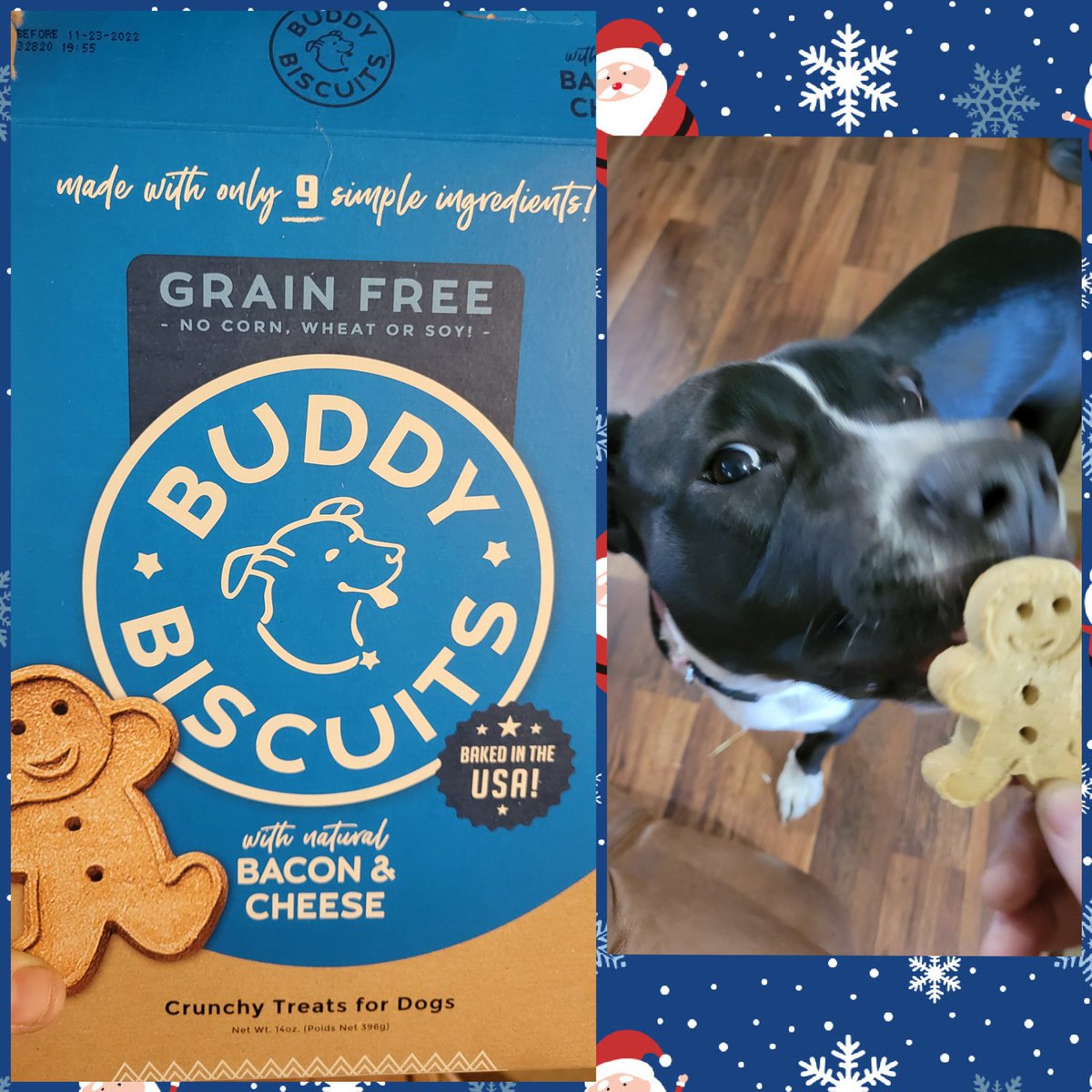 Gapinkzebra's tweet photo. Target 
Buddy Biscuits Bacon &amp; Cheese Grain Free Oven Baked Dog Treats 

All 3 of our dogs enjoyed this flavor. In fact after giving them one they was already looking for more. Some of the other flavors they turned their nose up to but not this flavor. 

https://t.co/S8qLgFJMK1 https://t.co/3s88AOflgM