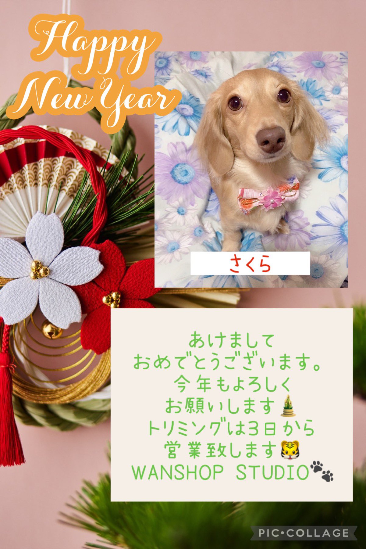 Laundry Studio Wanshop コインランドリー セルフドッグバス年中無休でご利用頂けます トリミングのご予約は1月3日から受付ております どうぞご利用ください 年末年始はお布団を洗う方が増えてます 綺麗な敷布団 掛布団で新年を気持ちよく迎えて