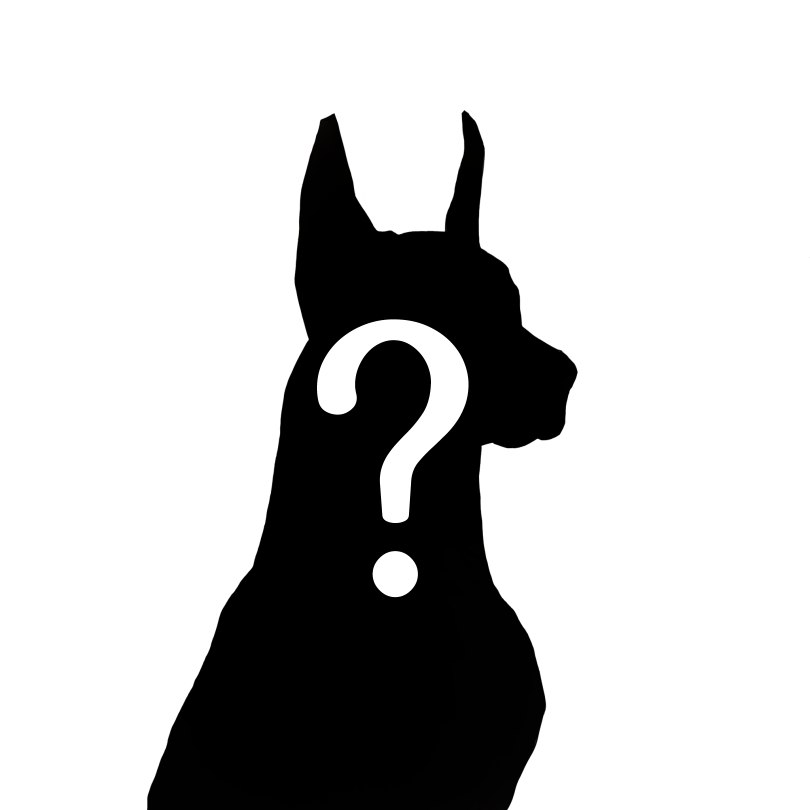 DobermannKlay's tweet photo. Dobermann V2 민팅 D-day
기다려주신 모든분들께 감사하며, 
리트윗,openchat 입장 -> 추첨후 에어드랍50분
민팅일정 : 01.03~01.04 매일 오후 9:00 pm

민팅일정
01.03 : 4000개 , 50klay
01.04 : 4500개 , 60klay

openchat : https://t.co/hrS753l6lO

Hompage : https://t.co/OvaQG04E1i https://t.co/aadg1j8gI0