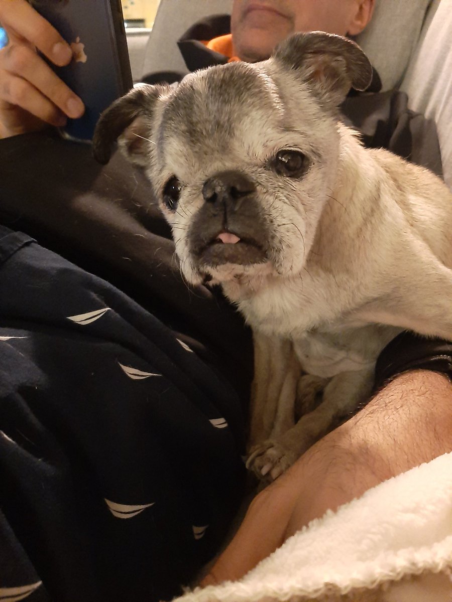 One month from today is #GroundhogDay and my 19th birthday.
#Gnuggit 2/2/22