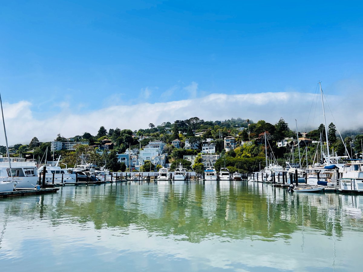 VisitSausalito's tweet photo. We're ready to start a new fun year right here in beautiful Sausalito! Join us! 

#visitsausalito #sausalito #sausalitoyachtharbor
📷@kimykimber https://t.co/Gy294pRalb