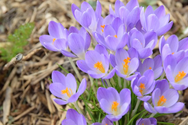 悪口のtwitterイラスト検索結果 古い順