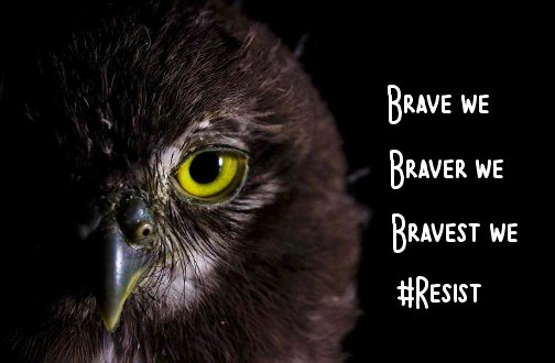 time4kind's tweet photo. As enraged & disgusted as I get, we should also remind ourselves that there a LOT more Decent Folks than there are Cruddy Jerkkks.
And, in the end, LOTS more of us warm-of-heart & kind-of-mind VotedBLUE! #BlueRoks #VoteBlue4TheFuture https://t.co/YgDyYXcaV4