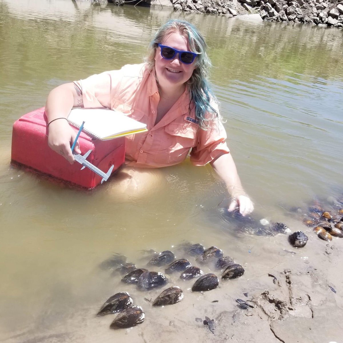 RiverAidShop's tweet photo. Hi everyone! My name is Ericah Beason and I run River Aid. I love rivers and streams and all the fun critters that live in and around them! I also love stickers, cool sweaters, and helping the homeless. Thus, River Aid was born. (1/x) https://t.co/fatPUm3YKB