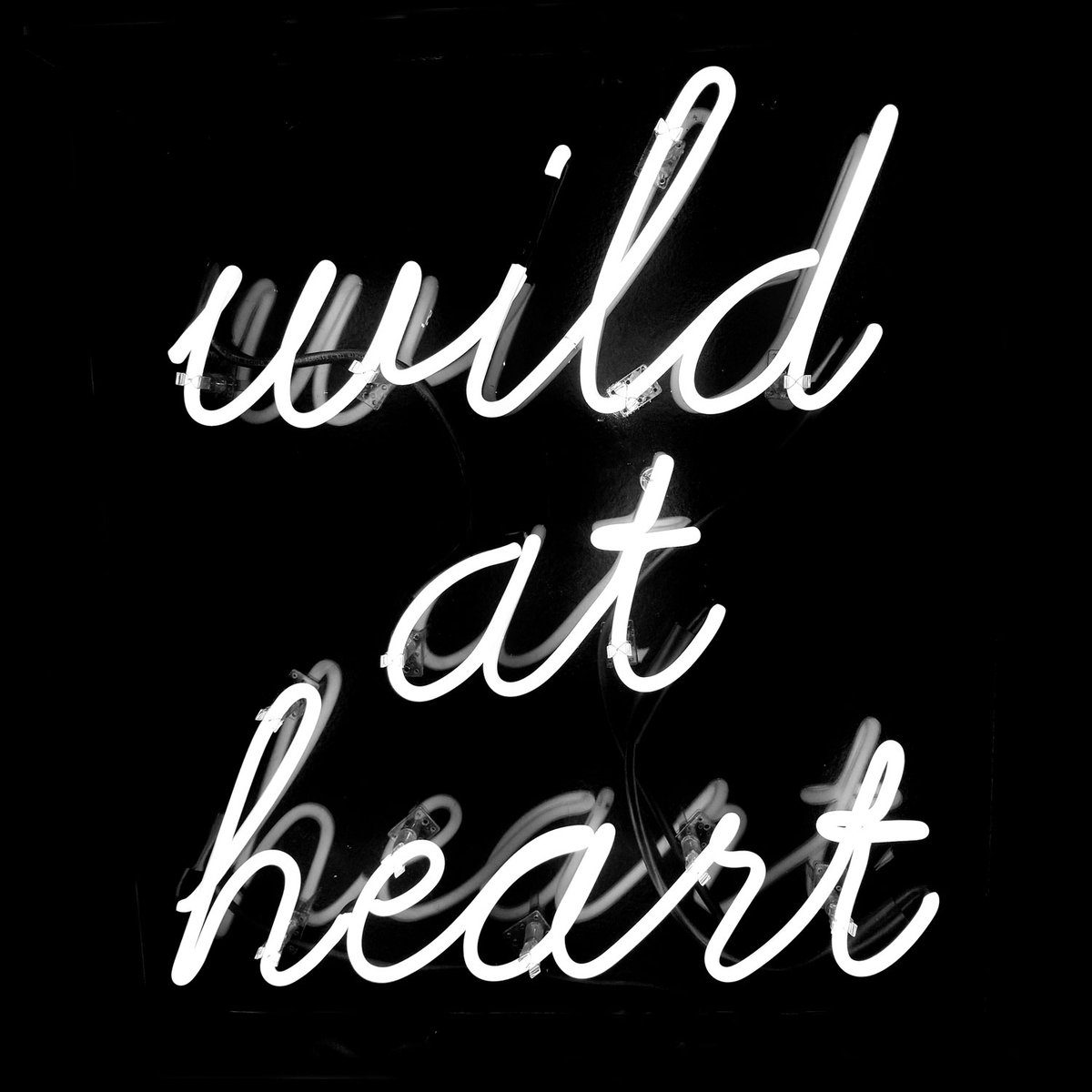 Got my account back. New handle. Happy 2022 everyone.