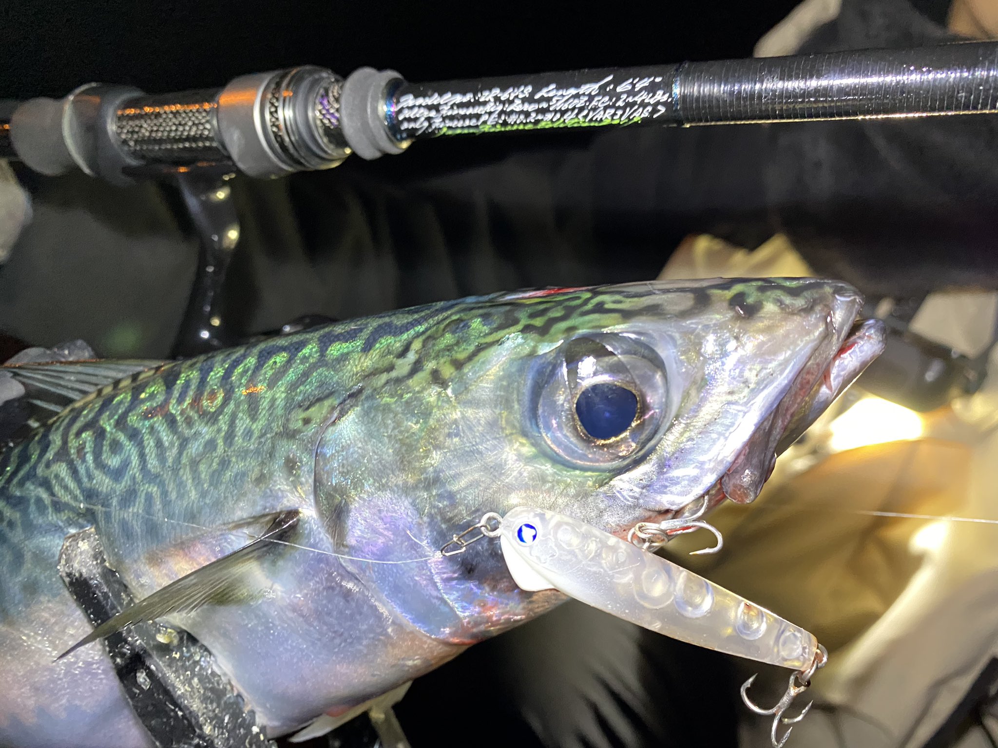 スネコン50s Twitter Search Twitter