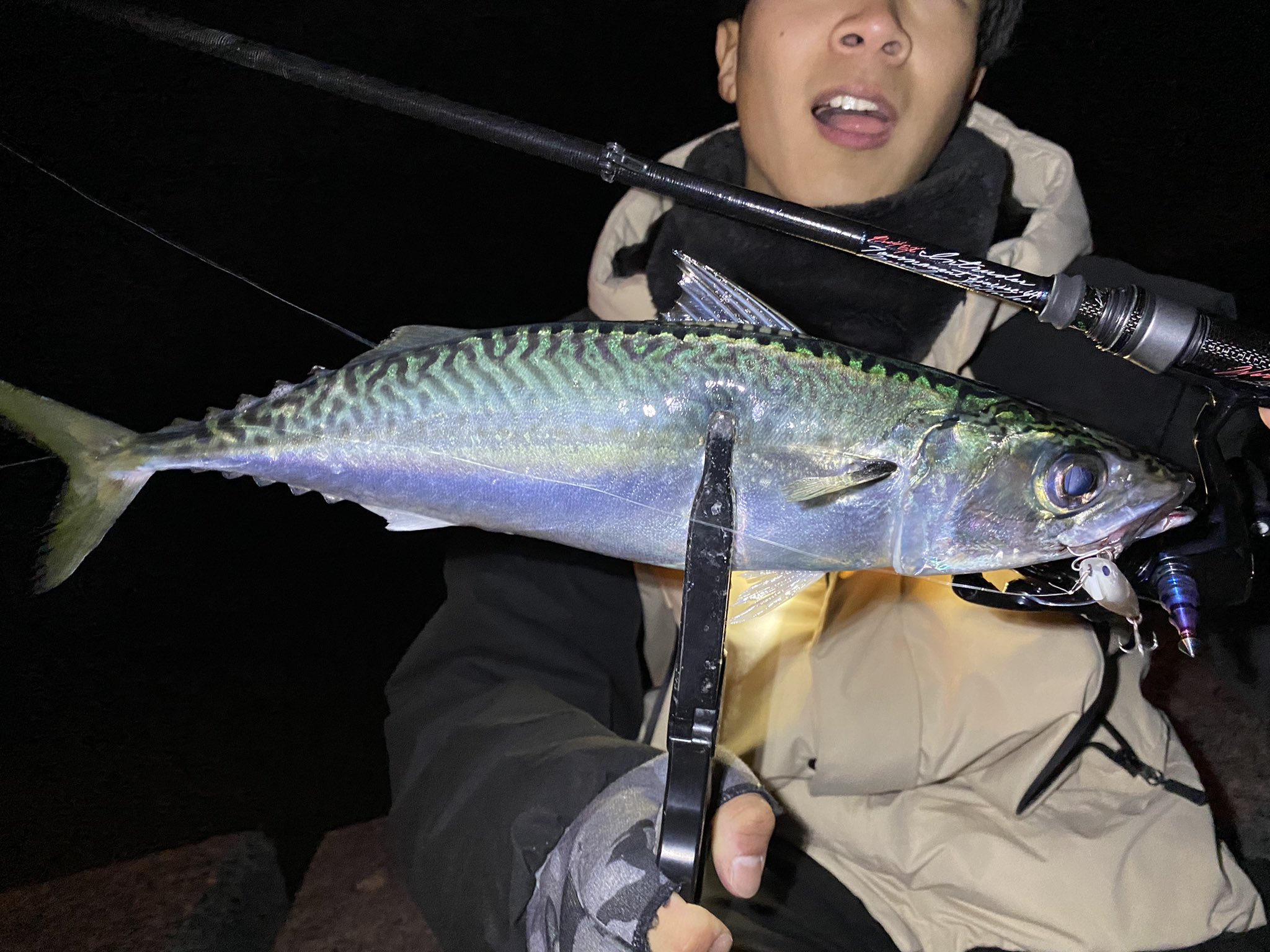 スネコン50s Twitter Search Twitter