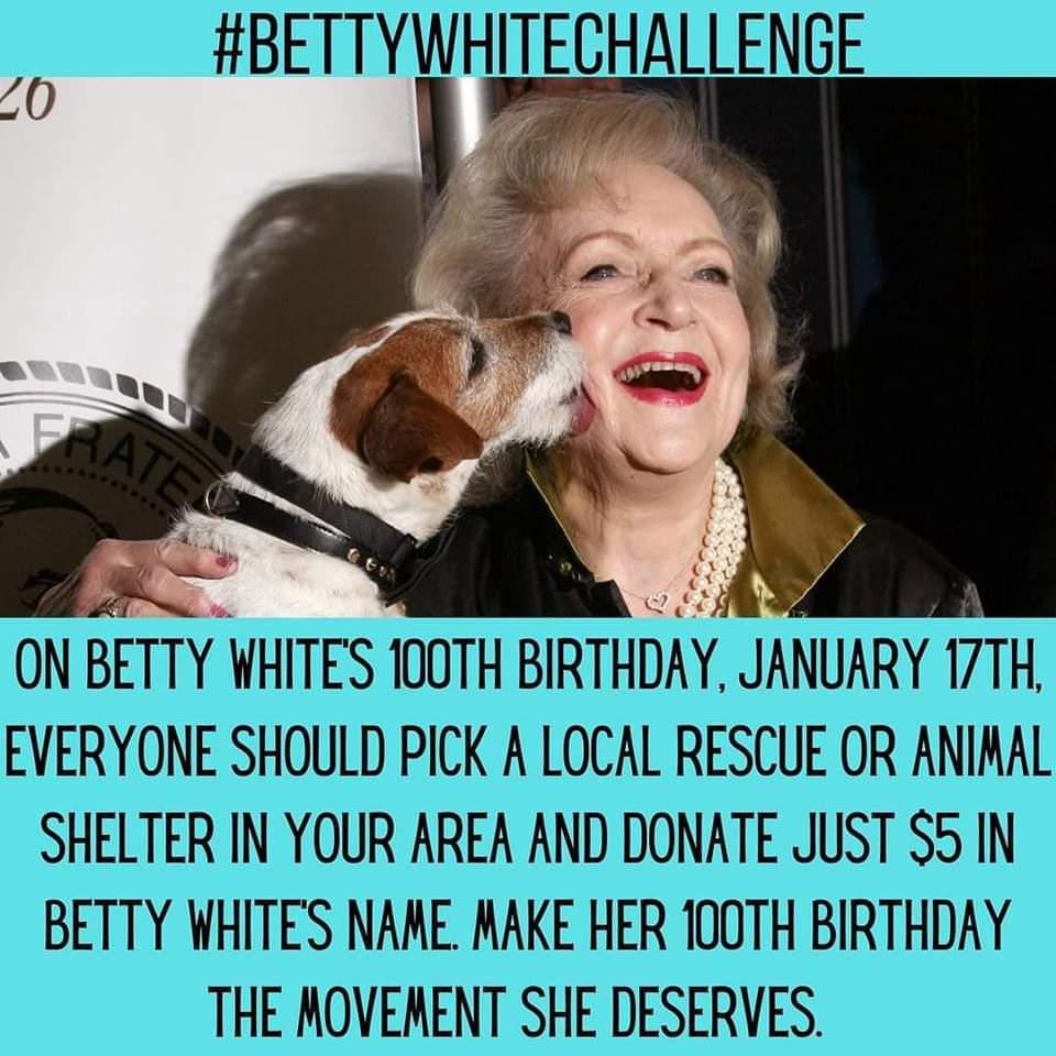Cathy Murray 🇨🇦 (@murrayca1158) on Twitter photo Great idea! <a href="/CalgaryHumane/">Calgary Humane Society</a> <a href="/ParachutesP/">Parachutes For Pets</a> <a href="/MEOWFoundation/">MEOW Foundation</a> please retweet... retweet... retweet! #yyc #yeg Great idea! <a href="/CalgaryHumane/">Calgary Humane Society</a> <a href="/ParachutesP/">Parachutes For Pets</a> <a href="/MEOWFoundation/">MEOW Foundation</a> please retweet... retweet... retweet! #yyc #yeg