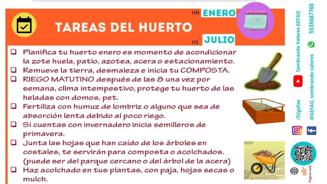 SGefao's tweet photo. Enero ya llegó!! #FelizAnoNuevo2022
¿Ya sabes qué vas a sembrar?
Si uno de tus #Propositos2022 de año nuevo es tener un #huerto
Aquí te decimos cuáles son las siembras recomendadas de este mes, las tareas del huerto y  fotos de tus compañeros huerteros
FELICES SIEMBRAS!!! https://t.co/DHNReOijEV