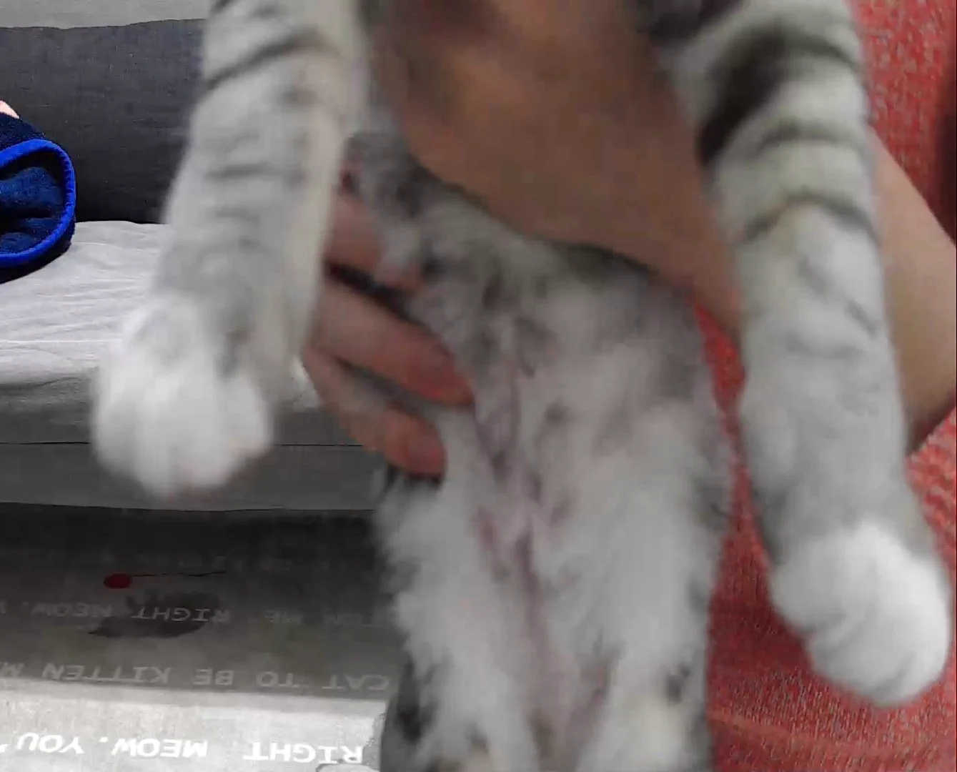 @kanameogino こんなにかわいい我が家の脱げかけ靴下ちゃんを見て…
左のおてて、小指だけ靴下脱げちゃってるの… 