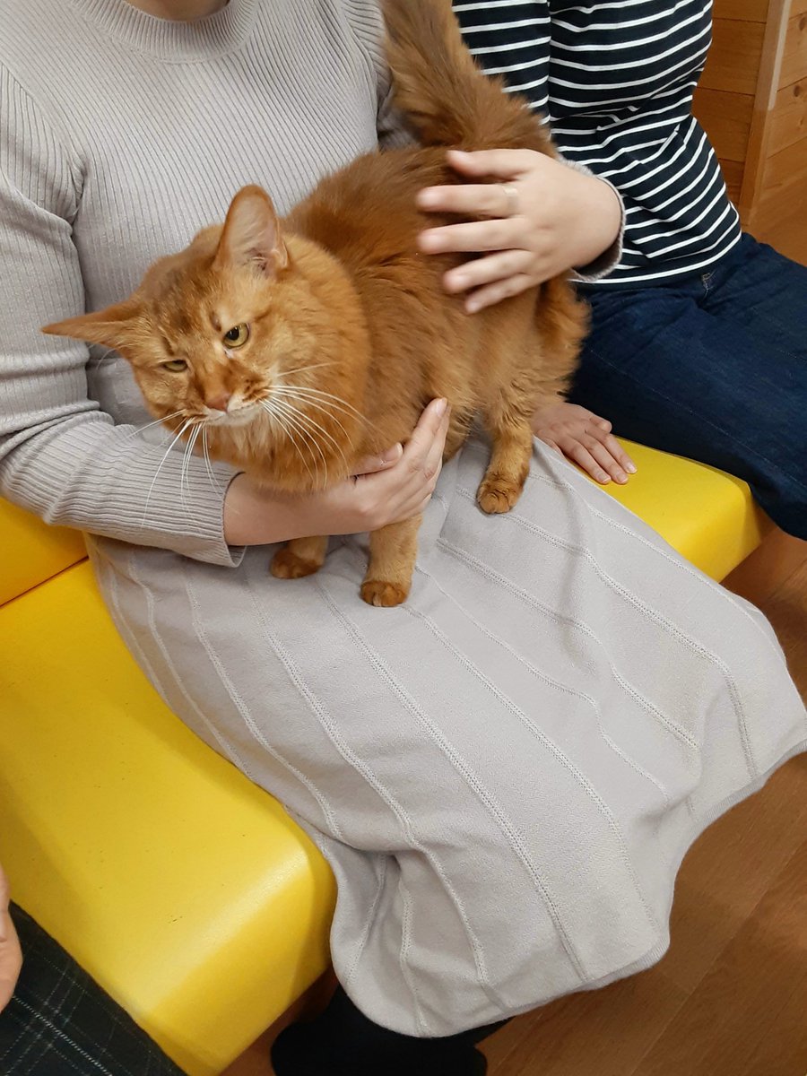 猫カフェちぐら S Tweet たった今の猫カフェちぐら 今年もいい仕事してました Part2 新潟 猫 猫カフェ いい仕事してました Trendsmap 猫カフェちぐら S Tweet たった今の猫カフェちぐら 今年もいい仕事してました Part2 新潟 猫 猫カフェ いい仕事してました Trendsmap