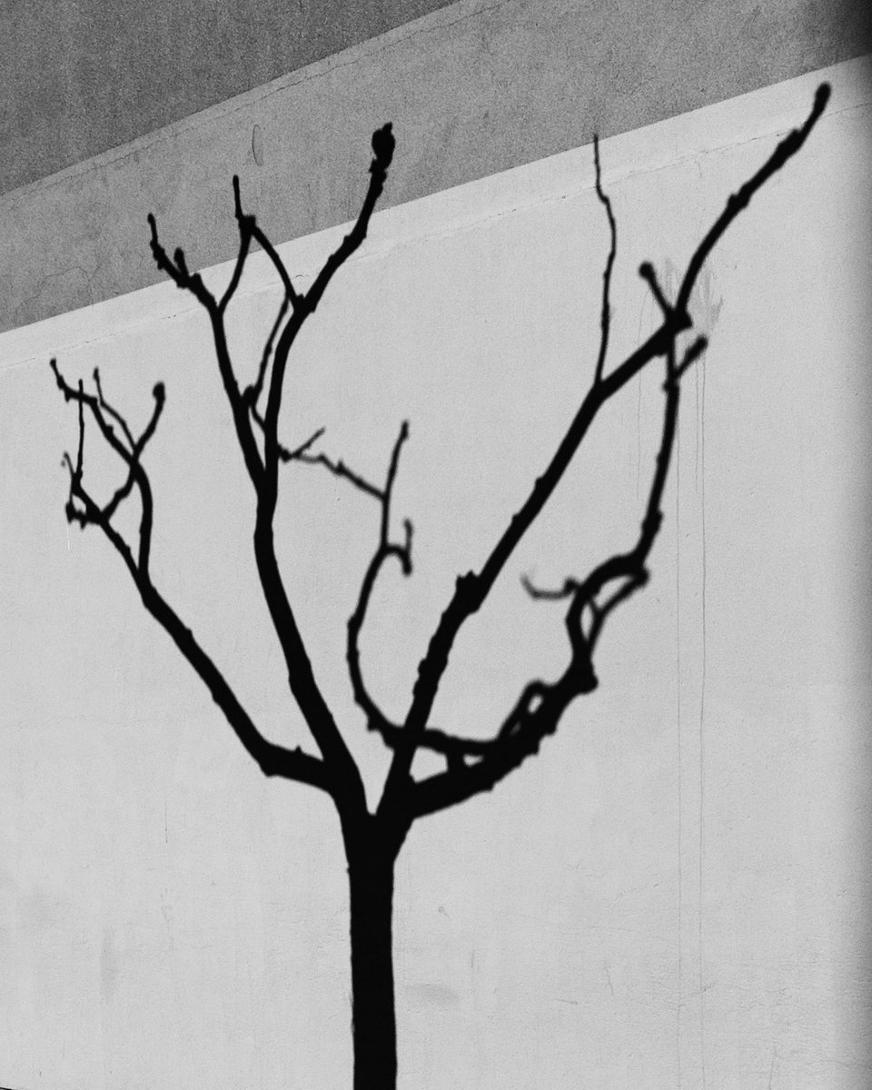 #photography