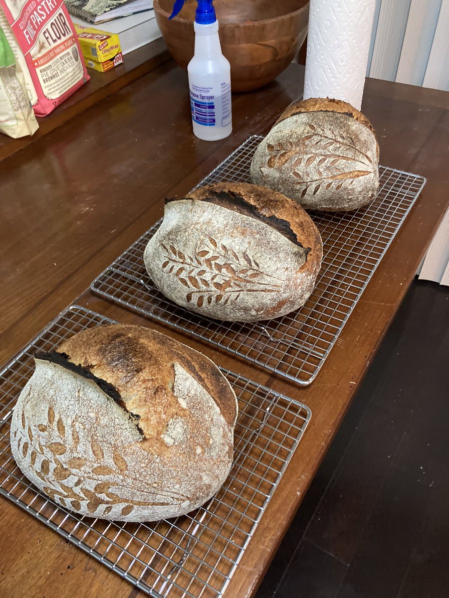 bradensthompson's tweet photo. #BreadTwitter https://t.co/SBh5j2q7rZ