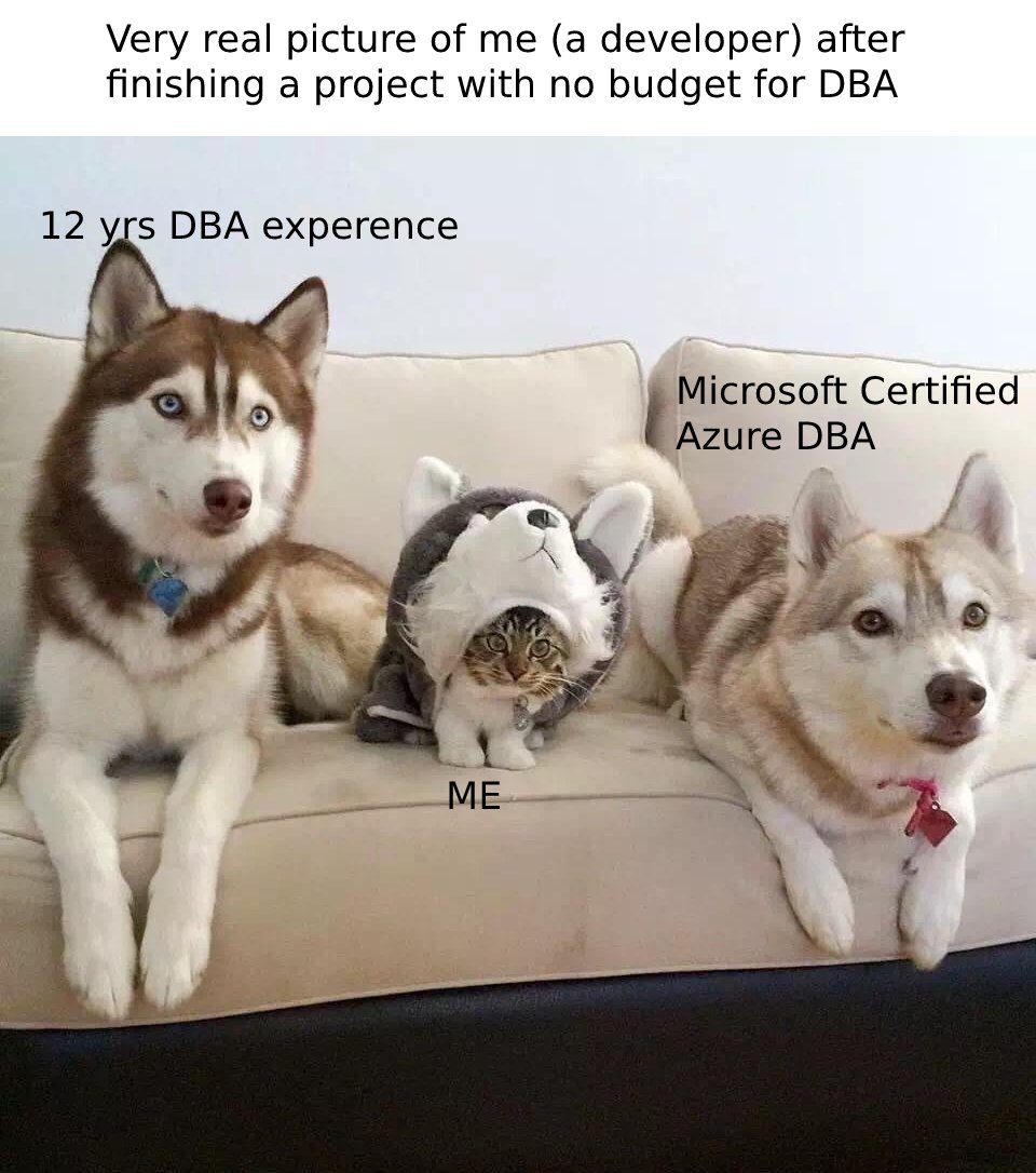 DenseDeveloper's tweet image. 