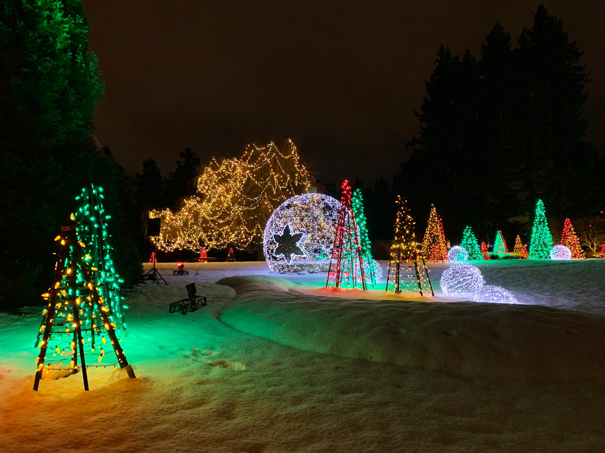 Botanical Gardens Christmas Lights 2022 Rob N Roll On Twitter: "Had A Magical Walk Through This Christmas Lights  Display At The Botanical Garden Https://T.co/Rp7Xmfux6N" / Twitter
