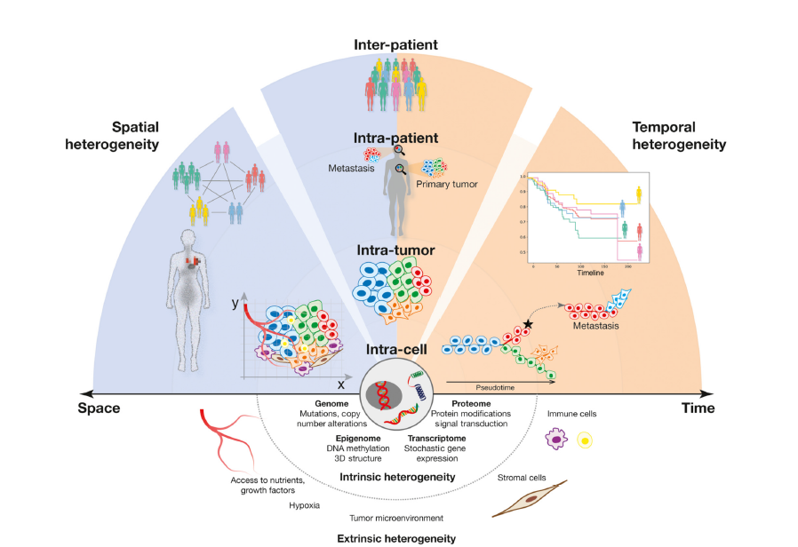 marianna_raps's tweet photo. Wonderful way to kickoff 2022 - our #tumorheterogeneity review is now out in print @TrendsinBiotech 🎉🍾
Link to paper (50-day open-access): https://t.co/XEm9hXQe7O
A thread (1/8): https://t.co/ZGfeBy2BXC