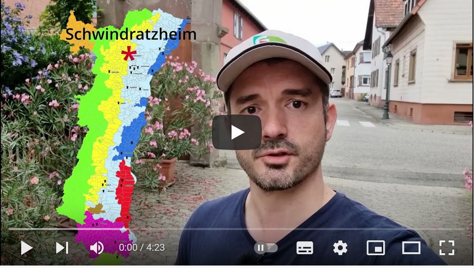 Christian Richert est éleveur de vaches laitières et cultive du maïs, des betteraves, du blé et du soja. Il explique sur cette vidéo comment il a fait pour réduire les phytos: youtu.be/UQ7RyObsQu0

<a href="/Dephy_Ecophyto/">Réseau DEPHY</a> <a href="/AliciaJacquier/">Jacquier Alicia</a> @EAVPHR <a href="/cra_grandest/">CRA Grand Est</a> <a href="/CRAGE_IRD/">CRAGE_IRD</a>