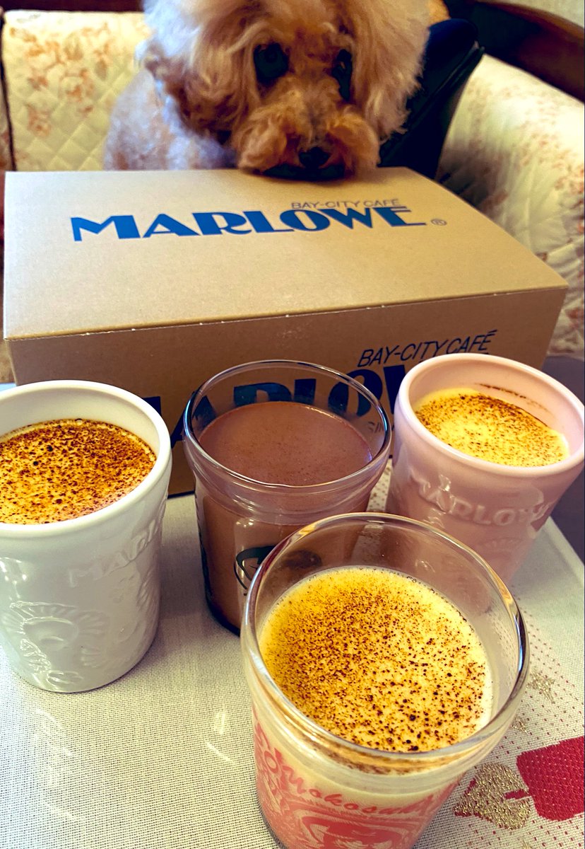 hubnerrd's tweet photo. 久しぶりに買って帰った
MARLOWEのプリン
いつものビーカーじゃなくて
2022年紅白の陶器に入ったプリン売ってたよ
そーゆーの買っちゃうよね〜
体が甘いもの欲してる...
疲れてる...
#Toypoodle #dog #pet
#トイプードル #犬 #プリン
#MARLOWE #2022version https://t.co/8yQdj7awZ8