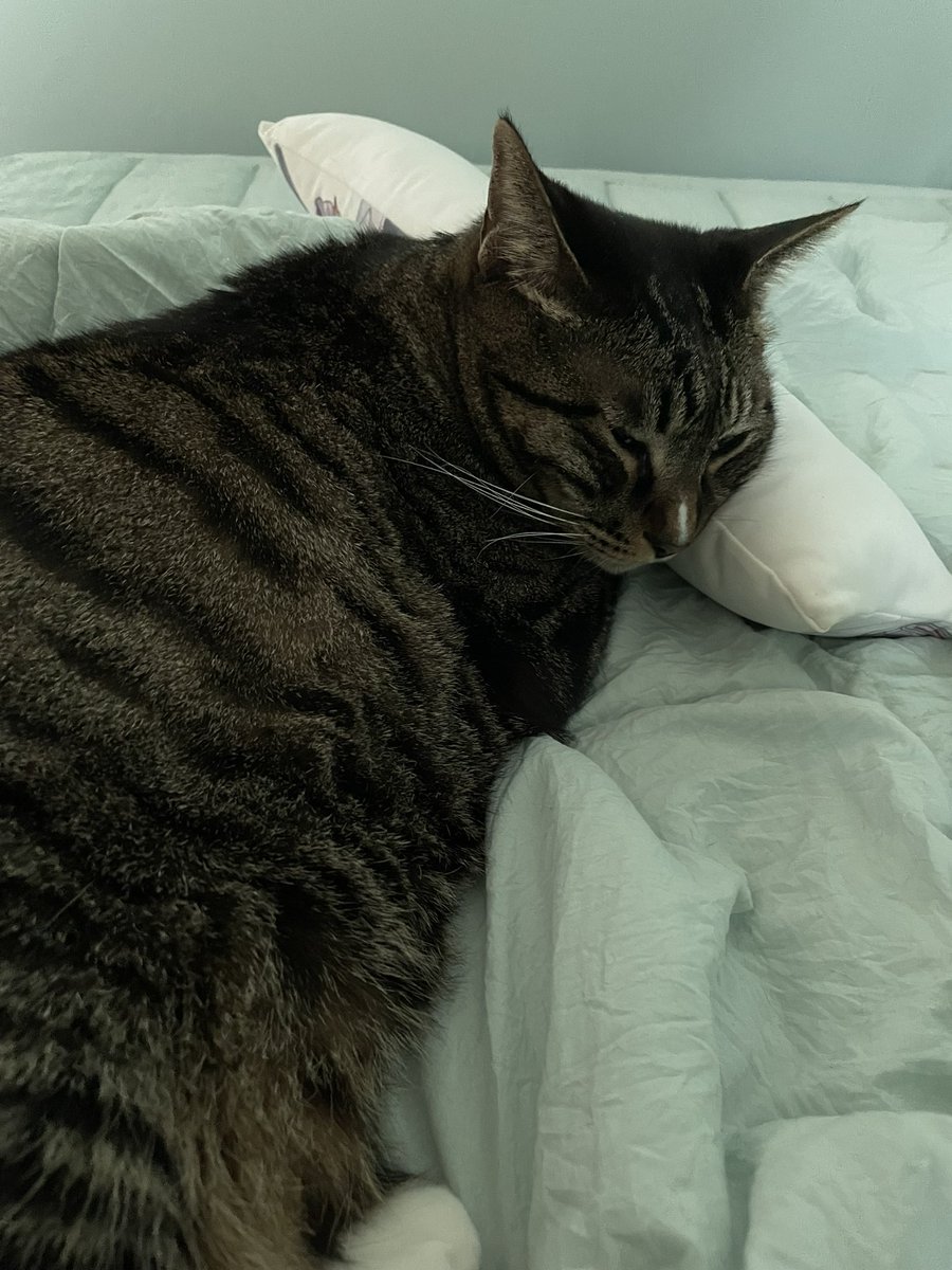 사진각도가 중요한 이유