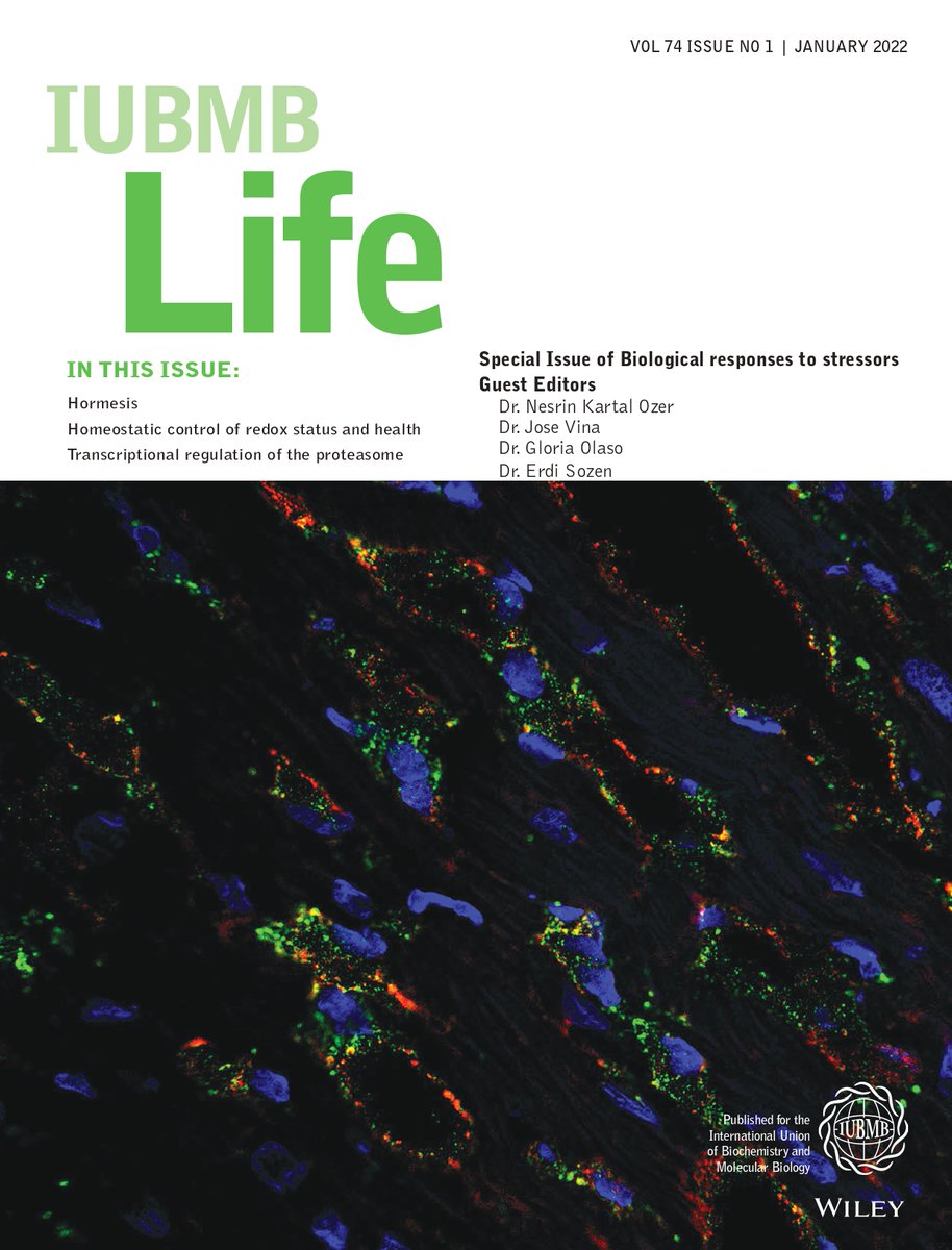 🎊New Year and a New Special Issue!🎊 iubmb.onlinelibrary.wiley.com/doi/abs/10.100… ♦️#Hormesis ♦️#Homeostatic control of #redoxstatus and health ♦️#Transcriptionalregulation of the #proteasome #oxidativestress #Covid_19 #FOXOs #Nrf2 #NFkB #carnosine #homocystein #Tocopherol #vitaminB #immunology