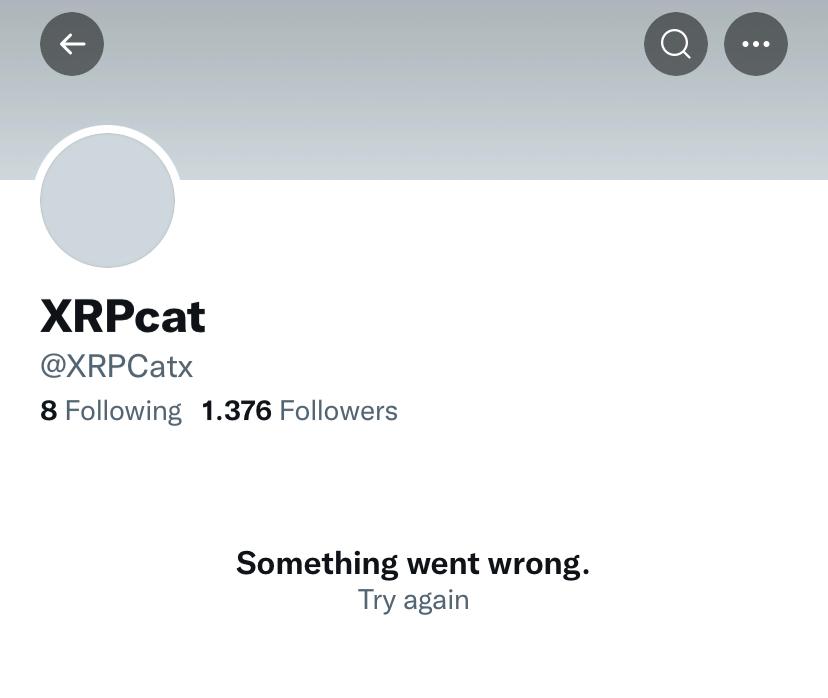 XRPCatx twitter account has been deleted !!! 🚩🚩🚩