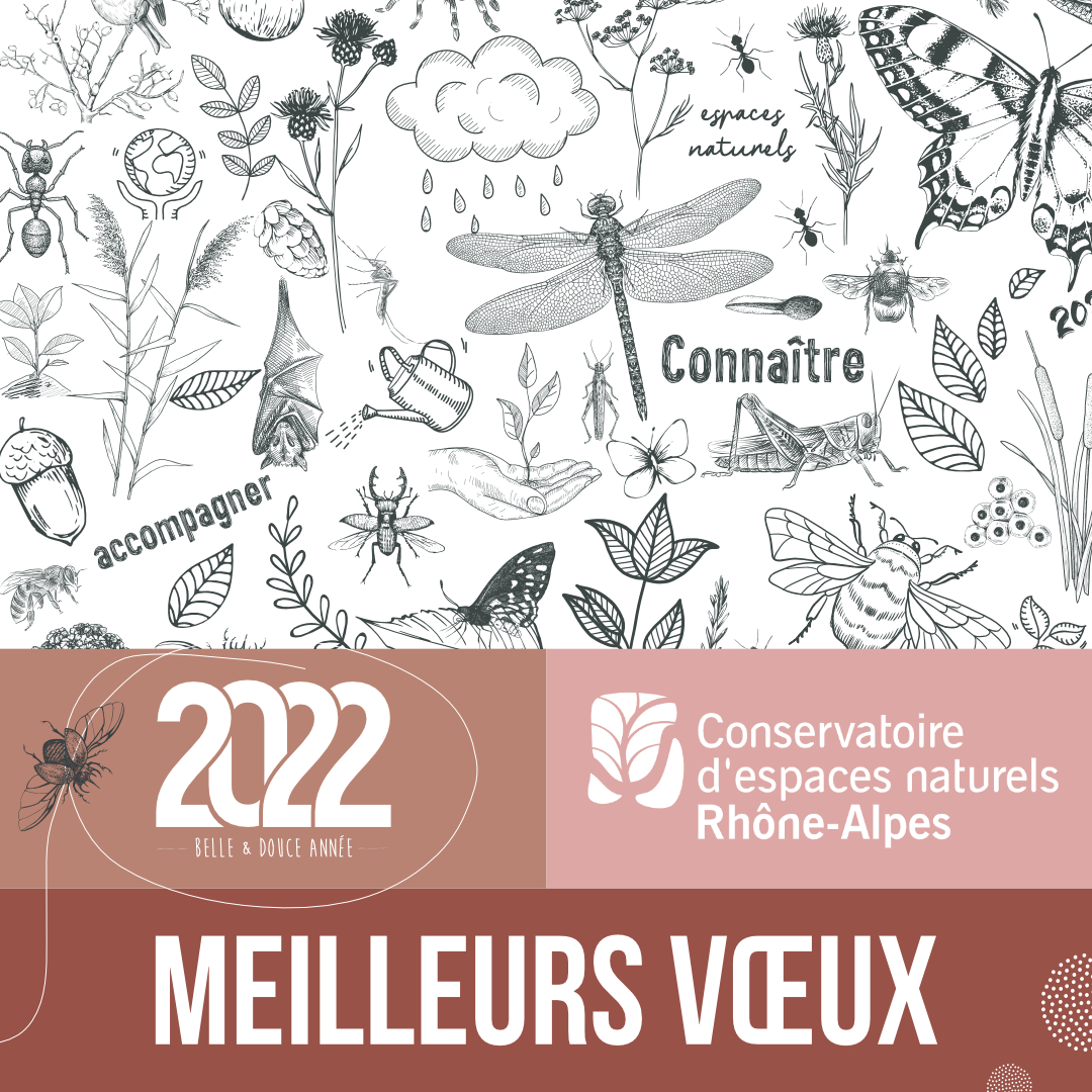 [VŒUX 2022] L’ensemble de l'équipe du <a href="/CenRhoneAlpes/">Cen Rhône-Alpes     </a> vous présente ses meilleurs vœux pour cette nouvelle année 2022 !
➡Pour en savoir plus sur le Conservatoire et ses missions, rendez-vous sur notre site : cen-rhonealpes.fr
#biodiversite #ecologie #nature #fauneflore