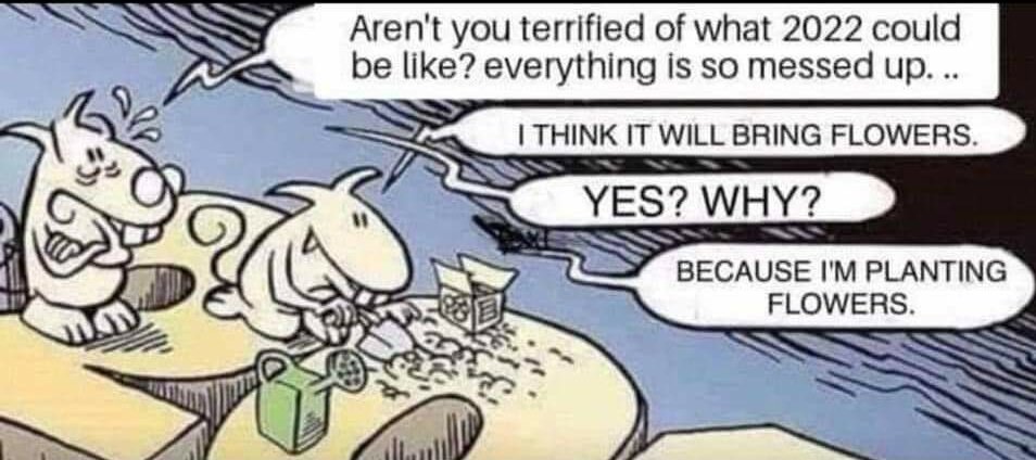 Bolton & Bury Swifts tweet media