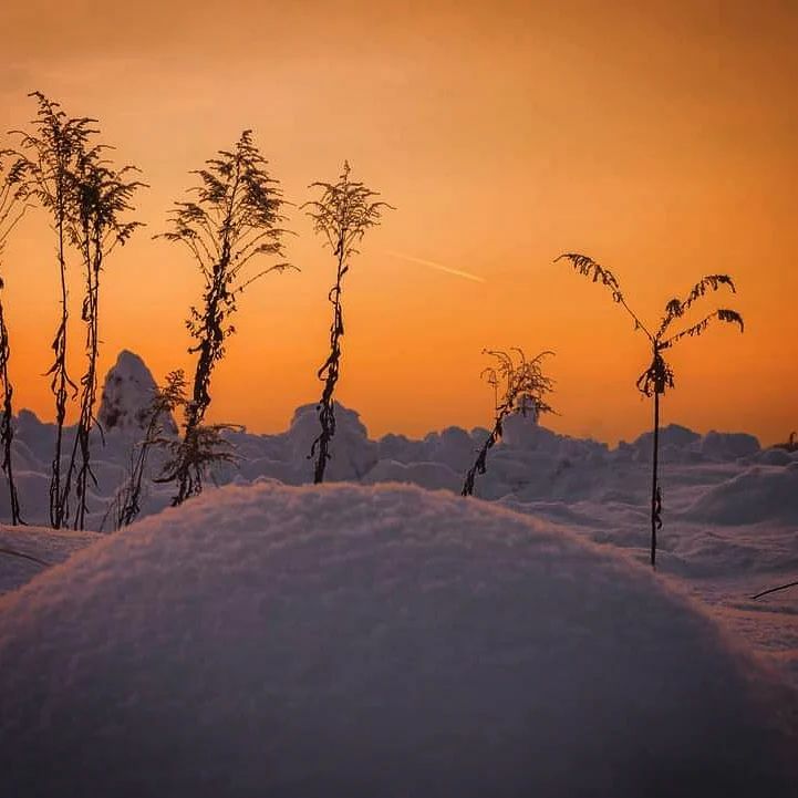 Palms, dunes and comet #Moscow #Region #river #pier #riverside #sunset #sundown #sun #mist #frost #evening #picoftheday #landscape #winter #wintervibes #cliff #orange #snow #ice #dune #comet #lookup