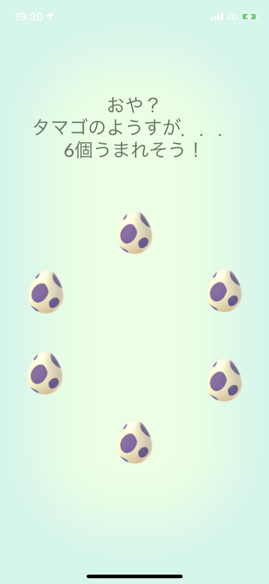 Hirokkye ポケgoパパス Fujiponhiropon Twitter