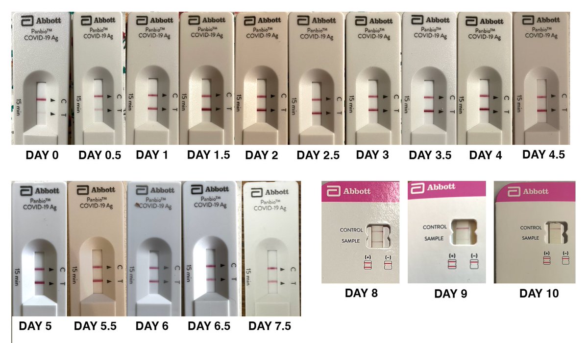 neurotheory's tweet photo. I took rapid tests through my mild Covid infection two weeks ago. Two takeaways: (1) I was positive for 9+ days. (2) rapid tests show gradation which can have some value for monitoring nasal viral load / presumptive infectiousness. #safertogetherSF @michaelmina_lab @EricTopol https://t.co/0KFVsDZ8Tz