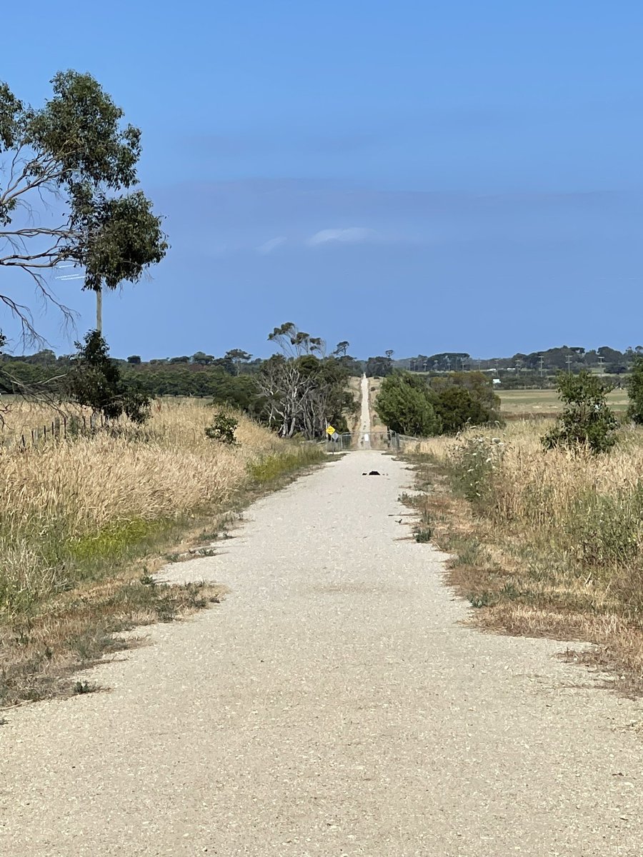 pamoshea's tweet photo. Checked out a very horse friendly @RailTrailsAus at #Toora today. They built amazing horse yards near the pub ..how cool! https://t.co/hoYVTWmlVS