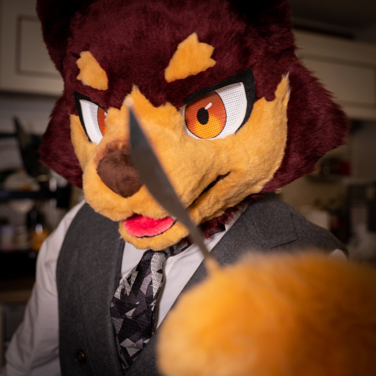 Gomae_0806's tweet photo. Like a horror game(or movie).
but, just kidding!!
πΊπͺπ΄πΏββοΈπ‘
#FursuitEveryday #fursuiter #furry #gomae https://t.co/vxPrz4Y63o