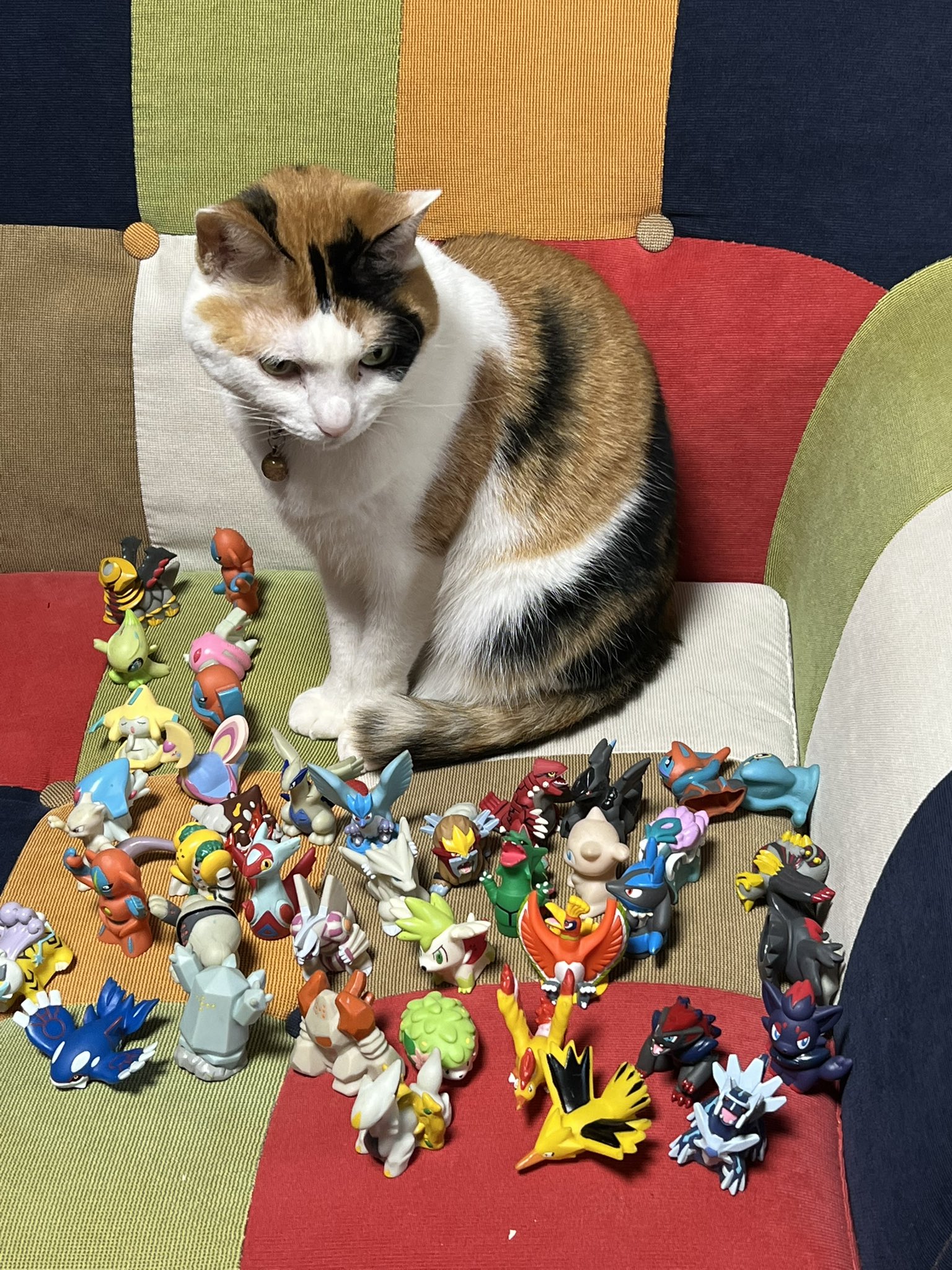 ねこさん⚡(ΦωΦ) on X: 