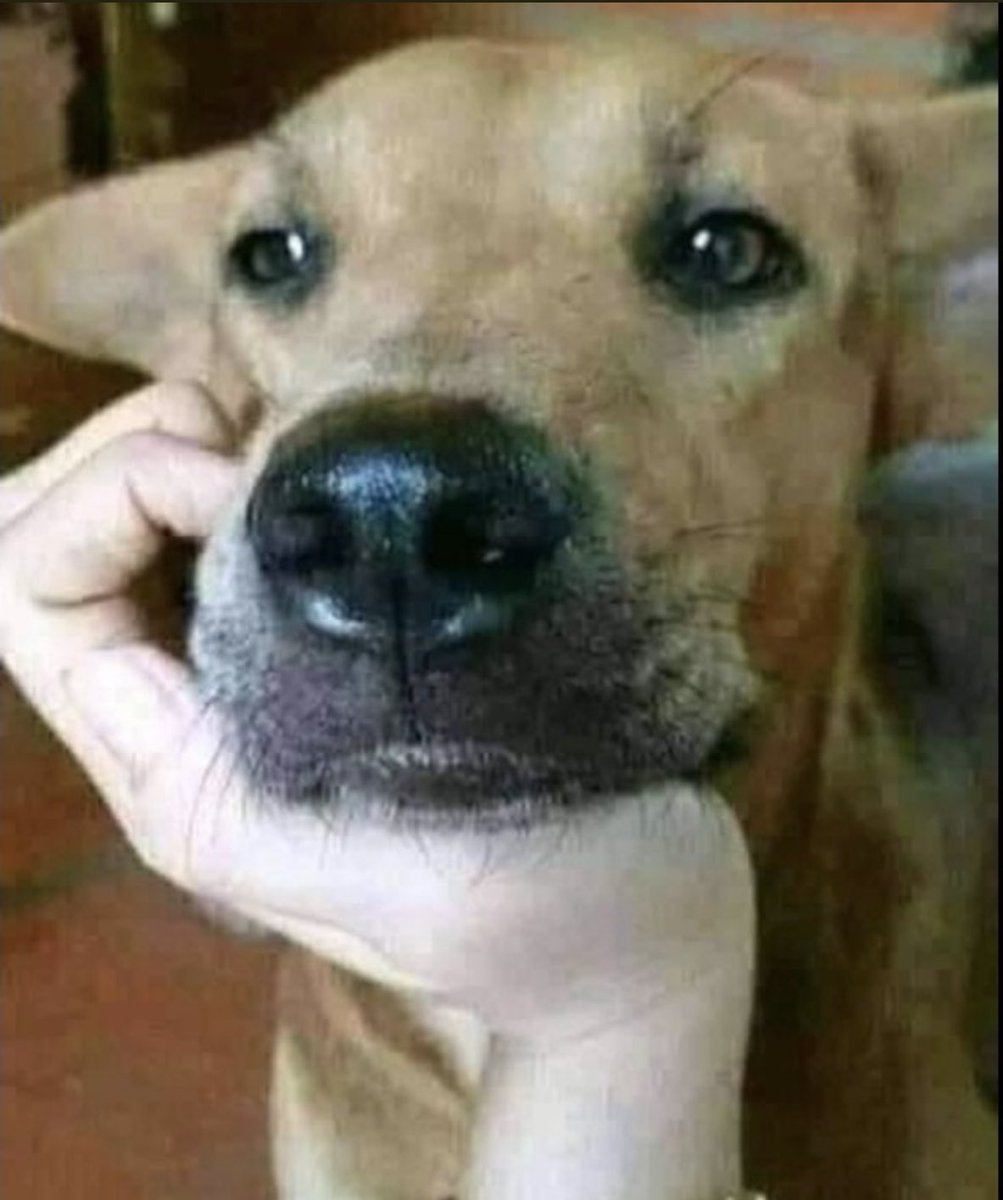 #Safe here guys??? Kunoku we already watching #movies