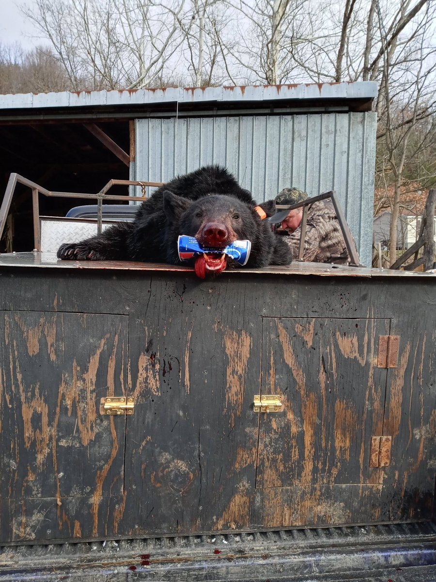 Justice Redman (@justice_redman) on Twitter photo 